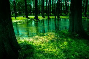 家を自分の癒しの場所にしたい方へ